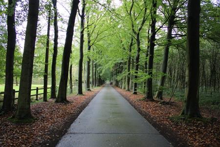 Bouwgrond verkocht Sint-Michiels