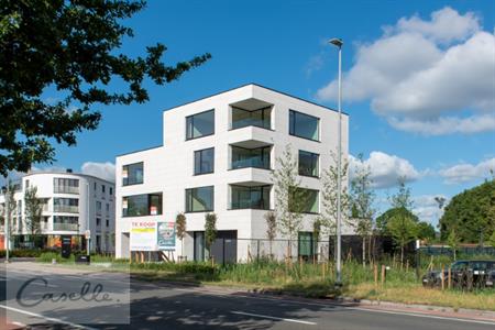 Project te koop Sint-Michiels